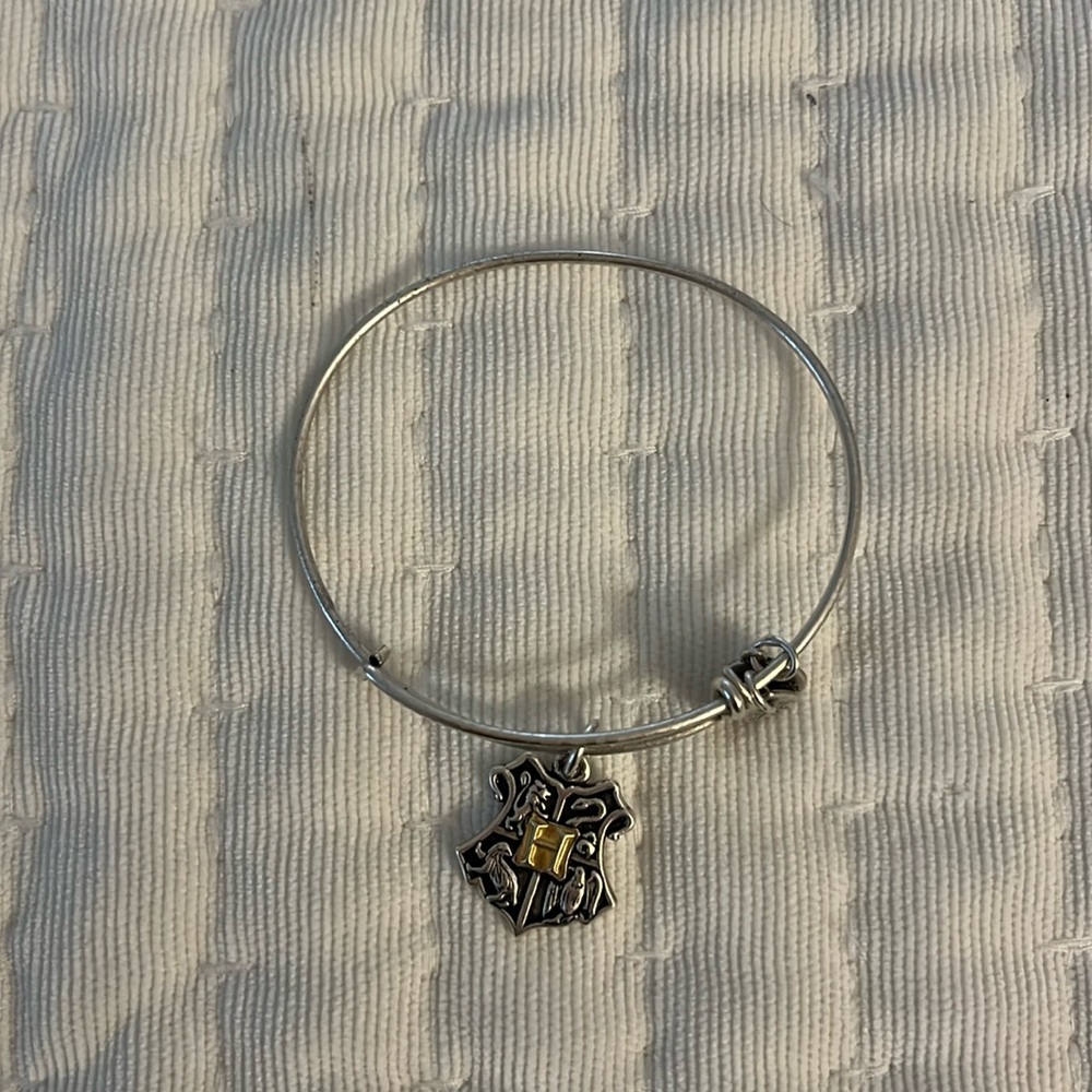 HP Alex and Ani